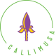 Logo_Callimusa